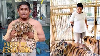 Lalaki sa Davao Occidental, tinaguriang 'Pinoy Tiger Whisperer'! | Kapuso Mo, Jessica Soho