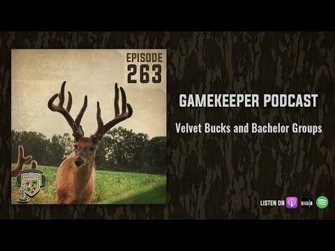 EP:263 | Velvet Bucks and Bachelor Groups