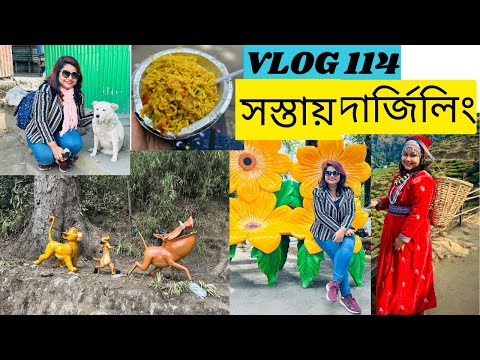 DARJEELING VLOG| Sightseeing in darjeeling in cheapest prices| Places to see in Darjeeling| Vlog