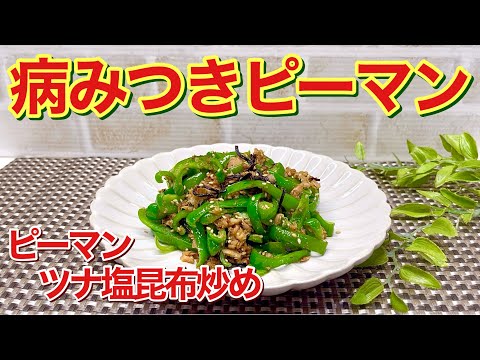 10分で出来てご飯に最高！病みつきピーマン（ピーマンツナ塩昆布炒め）を作ります。チャチャっと誰にでも簡単に出来ます。