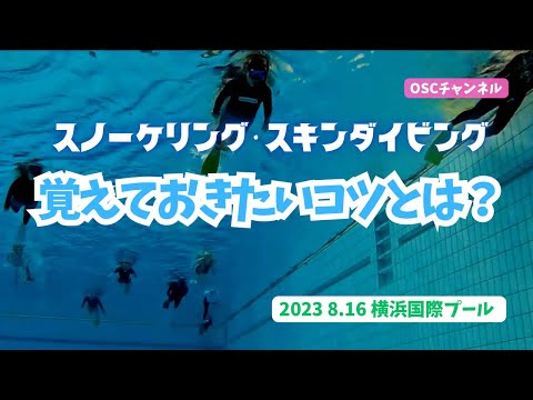 覚えておきたいスノーケリング（シュノーケリング）のコツとは？OSCスキンダイビング講習会（基礎編・応用実践編）の練習風景 in 神奈川・横浜国際プール