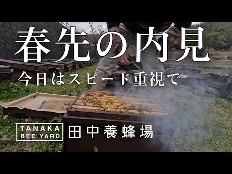 内見はスピーディーにやる（のがいいときもある）