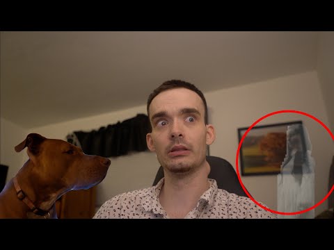 My Dog Seen Something I Couldn't See! **I think we're haunted**