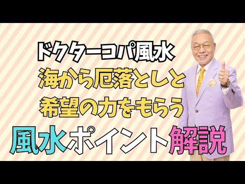 【決心の梅！！】ReiwaCopa Japan 長財布　カード小銭入れ