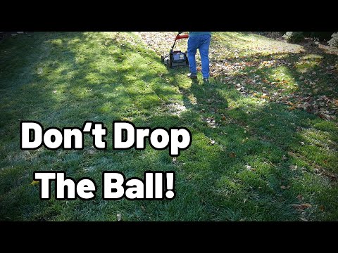 STOP Raking Your Leaves! Do THIS Instead - Don't Drop The Ball With Fall Lawn Care