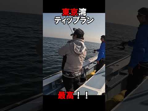 三浦から東京湾へティップランエギング！#5