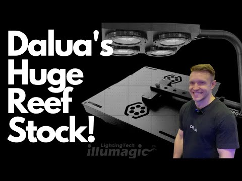 Avalanche Of New Dalua Reefing Products!