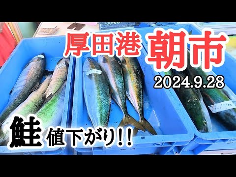 【北海道】厚田港朝市🐟秋鮭はこれからが買い時かも！？今年の営業はいつまで？の情報も☝️