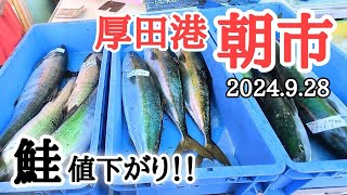 【北海道】厚田港朝市🐟秋鮭はこれからが買い時かも！？今年の営業はいつまで？の情報も☝️