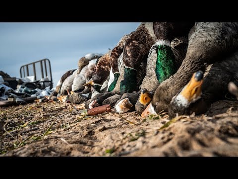 "C K O" | Combo Duck and Goose Hunting With Central Kansas Outfitters