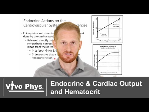 Endocrine Control of Cardiac Output and Hematocrit