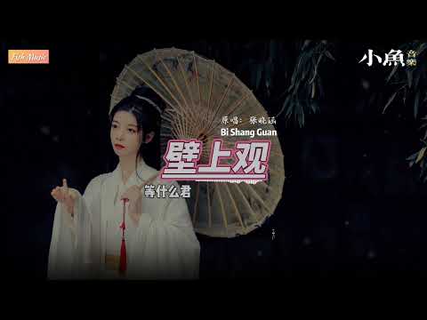 壁上观 - 等什么君 | 原唱 - 张晓涵 | 在小鱼听好歌 | 动态歌词/Lyrics