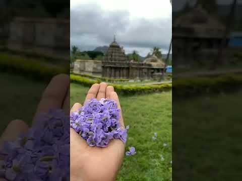 Halebeddu temple 📍 #travelkarnataka #shorts #hassan