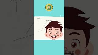 Learn Body Parts with Songs and Games for Kids