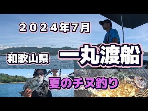 和歌山県、一丸渡船の筏へ今年3回目の釣行、かかり釣りで夏のチヌを狙います。