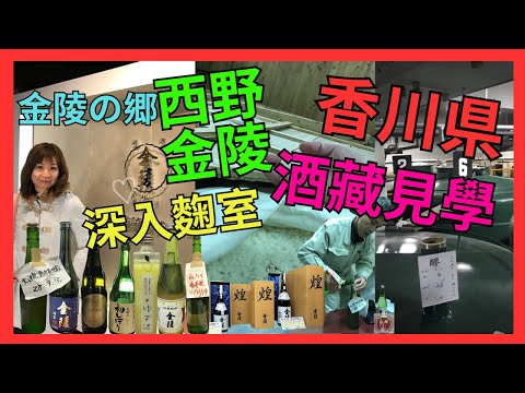 [香川県 西野金陵株式会社 酒藏見學] 參觀金陵の郷 | 再去多度津工場見學 | 深入麴室觀看製麴狀態 | 業務代表帶我們試飲十多款清酒 | #香川県 #日本自由行 #酒造 #西野金陵 #試酒