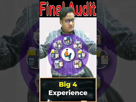 Big 4 Experience