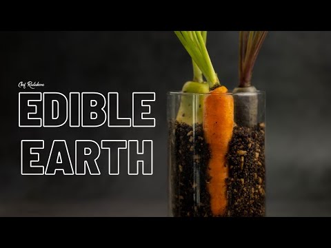 Edible Earth: Savoring Gastronomic Treasures