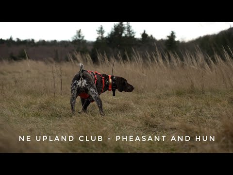 New England Upland - End of Year Round Up