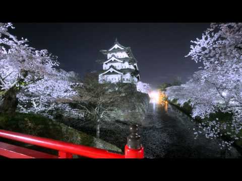 桜の弘前城 夜 Cherry Blossom in Hirosaki 2014　Time lapse 4K