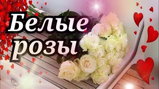 К Дню всех влюблённых! БЕЛЫЕ РОЗЫ!. Красивое поздравление к 14 февраля. Музыкальная открытка.СТИХиЯ