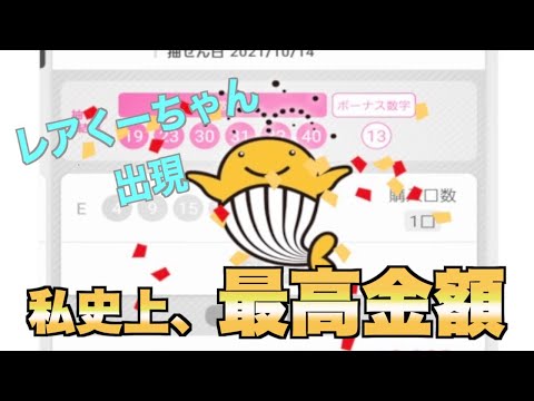 【ロト６＆ビンゴ５】10月1・2週、私史上最高金額出しました。レアくーちゃん登場です。