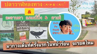 กางเต้นท์มือใหม่ ปลาวาฬหลงทาง CAMP&CAFE’ และ ละลานตา แคมป์ปิ้ง&คาเฟ่