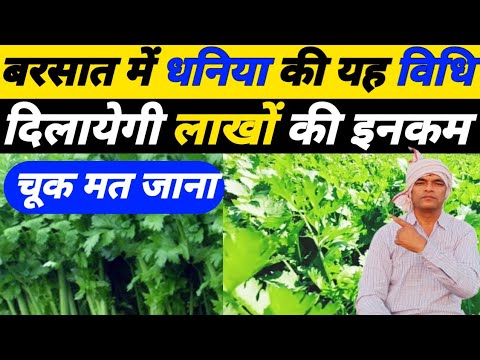 बरसात में धनिया की यह विधि दिलायेगी लाखों की इनकम|Dhaniya ki kheti|Dhaniya ki kheti kaise kare