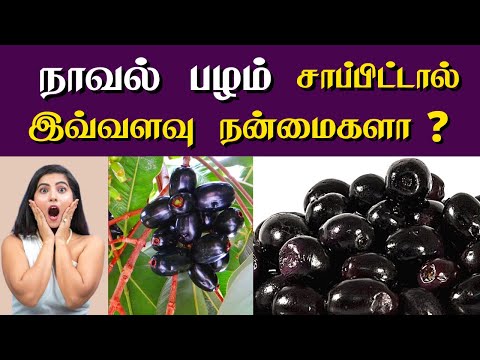 நாவல் பழம் தரும் நன்மைகள் | Naval palam benefits in Tamil | Java plum | Jamun fruit for diabetes