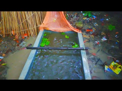 ফিস ট্যাংকের সব মাছ চুরি করে নিয়ে গেছে 😭 | Fish Tank | Mahid Dream Zoo