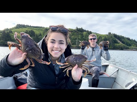 Catching MASSIVE Dungeness Crabs!