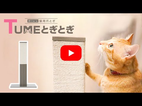 @ttara(アッタラ)【猫爪とぎ】の紹介