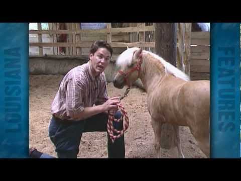 Bozeman Stables (1996)