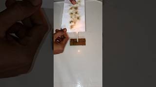 Lemon Fire Paper Science Experiment  #experiment #scienceexperiment #lemonexperiment #goofys08