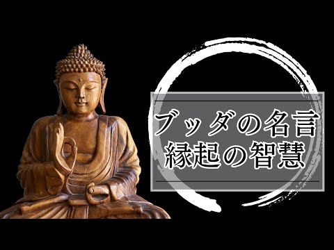 「ブッダ」の名言から学ぶ｜『縁起』の智慧