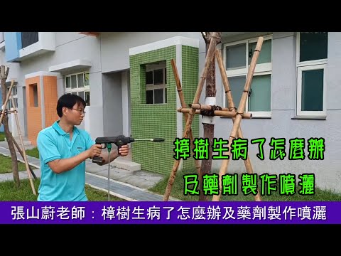 張山蔚老師：樟樹生病了怎麼辦及藥劑製作噴灑