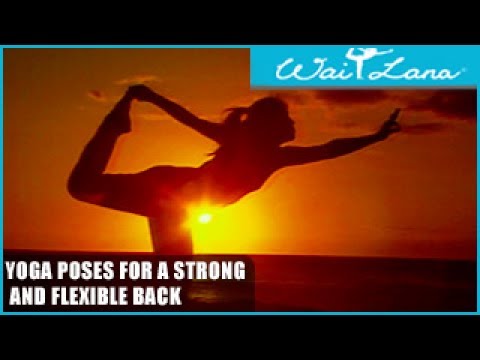 Yoga Poses for a Strong and Flexible Back: Wai Lana Yoga