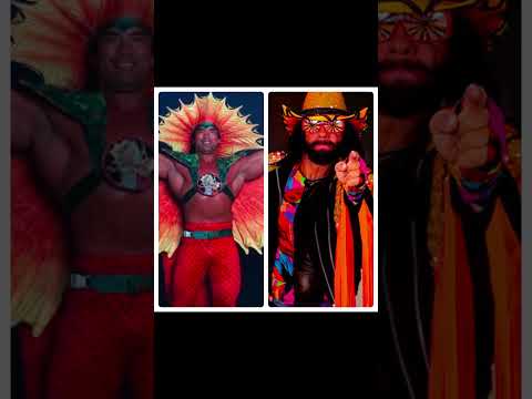 Randy Savage or Ricky Steamboat? #shorts #machoman #prowrestlingshorts #fypシ゚ #fyp #fy #subscribe