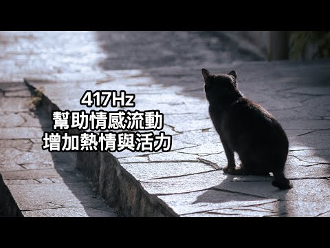 417Hz本我輪(臍輪)：掌管情感。當本我輪打開時，你的情感表達自如，而且表達時不會流於過度情緒化。