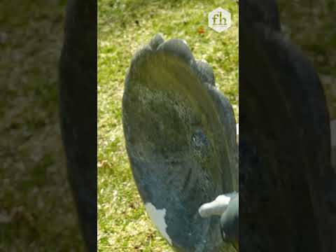 How to Clean a Bird Bath