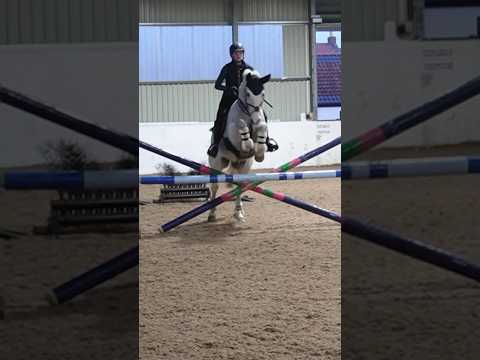 First weekly vlog of 2024 is now up! #equestrian