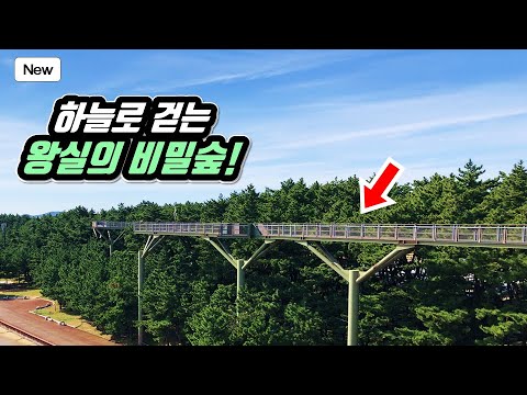 Starting Point for Korea's New Cross-Country Trail Course