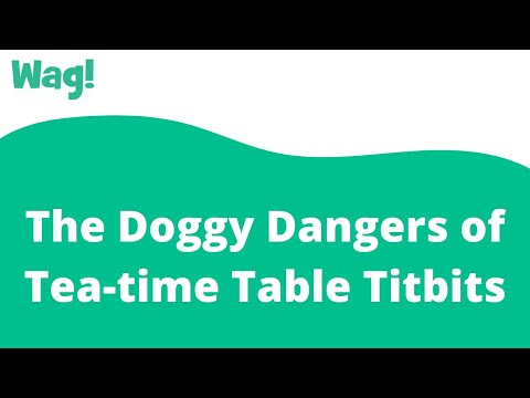 The Doggy Dangers of Tea-time Table Titbits | Wag!