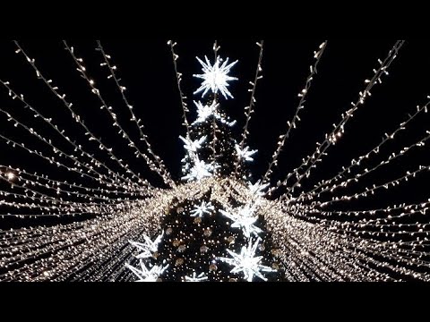 ПОЗДРАВЛЕНИЕ С НАСТУПАЮЩИМ НОВЫМ ГОДОМ🎄🎄🎄КРАСИВАЯ МУЗЫКАЛЬНОЕ ВИДЕО ОТКРЫТКА ДЛЯ ВАС ДРУЗЬЯ🎈🎈🎈