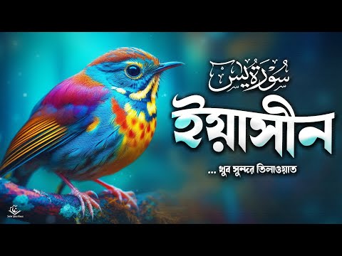 সেরা কণ্ঠে সূরা ইয়াসীন | Best Recitation of Surah YASEEN ( يٰسٓ ) By Muhammad Hizaji