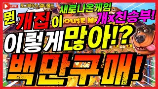 [슬롯][생방송] 🔥더 도그하우스 메가홀드🔥개집이 이렇게 많아?! 못참고 백만구매 해버렸습니다  [프라그마틱][온라인슬롯][슬롯머신][슬롯라이브][강원랜드][슬롯대박][슬롯잭팟]