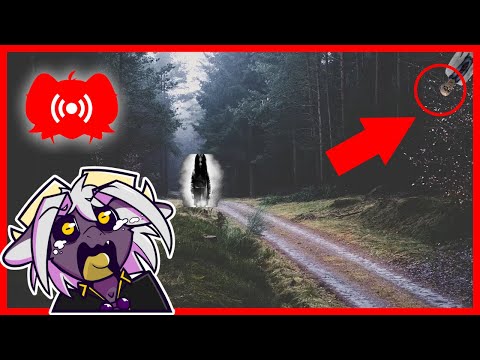 Spooky Video Stream (Boo!)