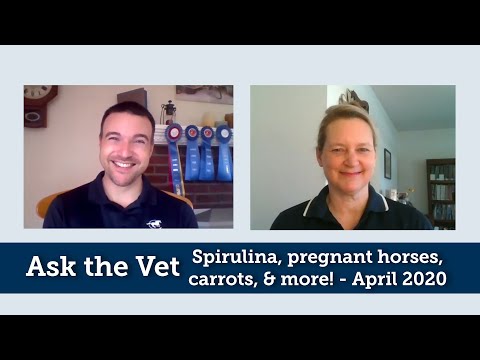 Ask the Vet - Spirulina, pregnant horses, carrots, and more! - April 2020