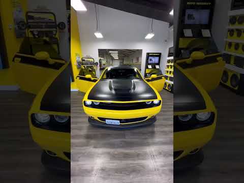 T/A 🐝 #dodgechallenger #cars #carslover #carstatus #carswithoutlimits #carstagram #car #goal #fyp