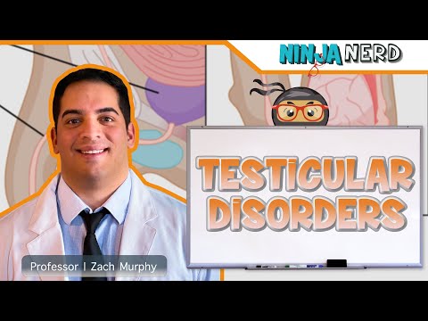 Testicular and Scrotal Disorders | Clinical Medicine